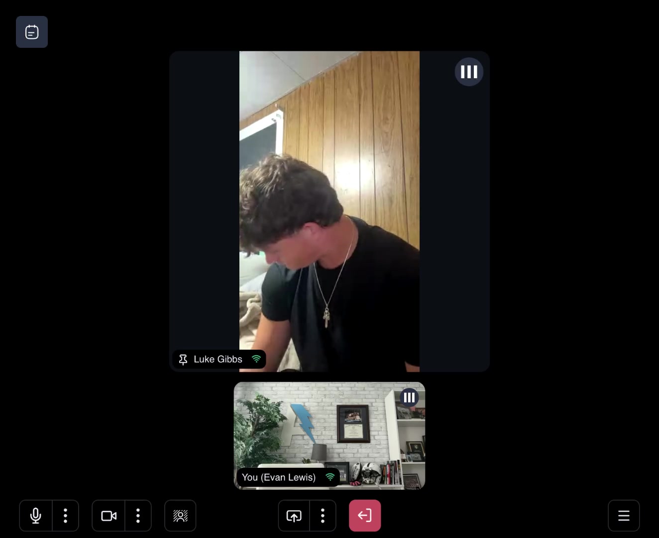 Video preview