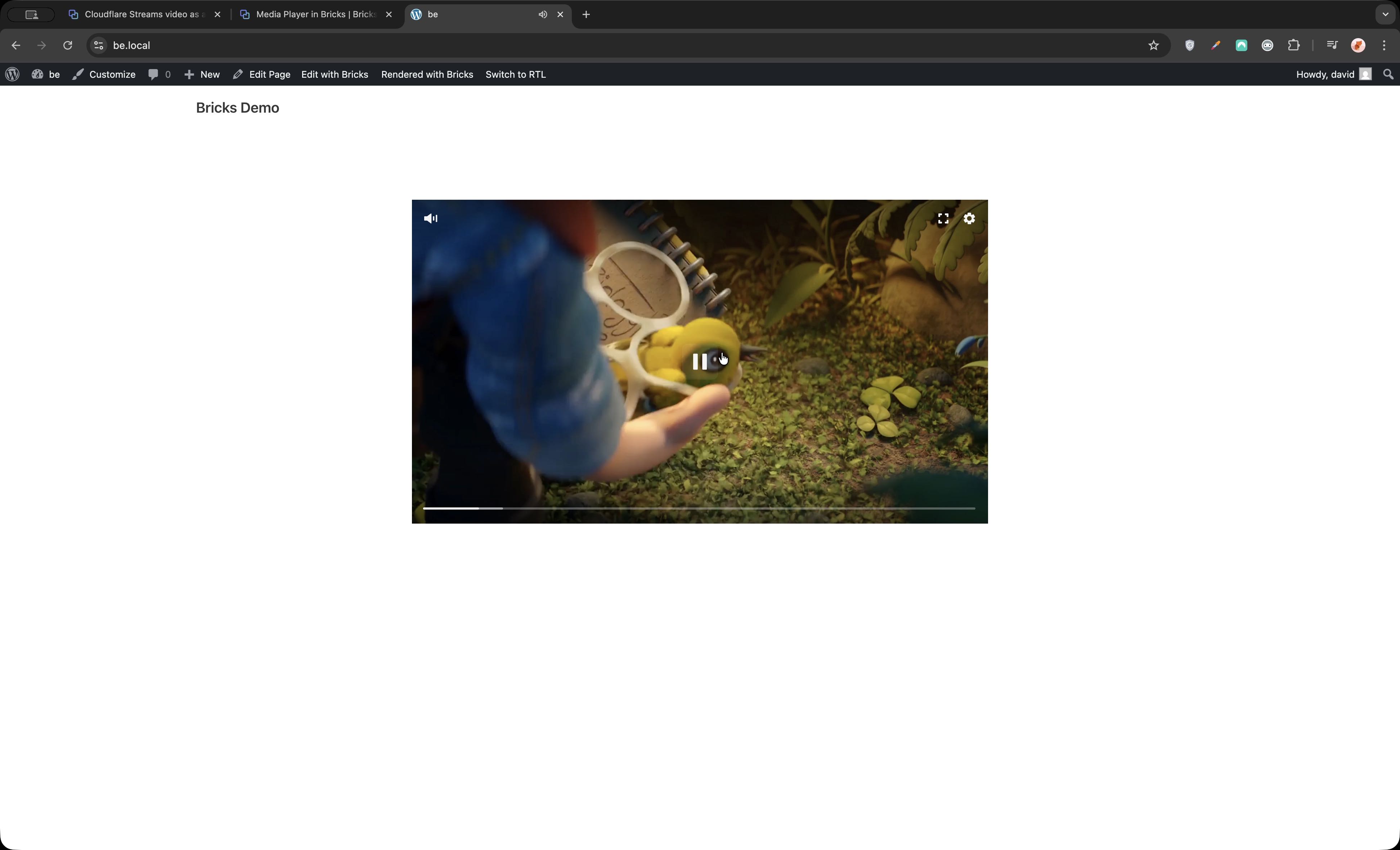 Video preview